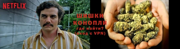 стафф Краснотурьинск