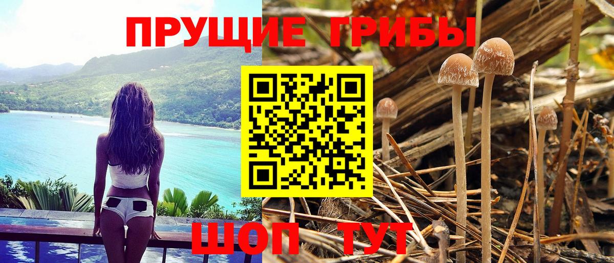 Псилоцибиновые грибы мицелий Нарьян-Мар