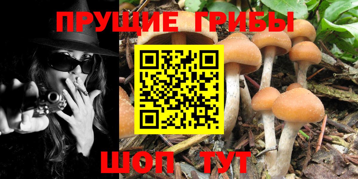 Псилоцибиновые грибы MAGIC MUSHROOMS  купить наркотик  Галлюциногенные грибы мицелий  Нарьян-Мар  Вход с VPN 